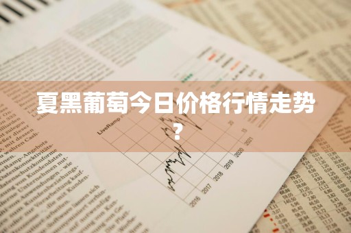 夏黑葡萄今日价格行情走势？