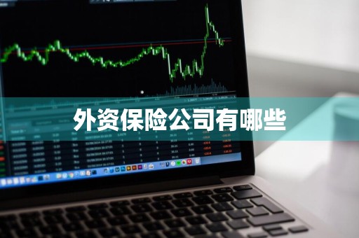 外资保险公司有哪些