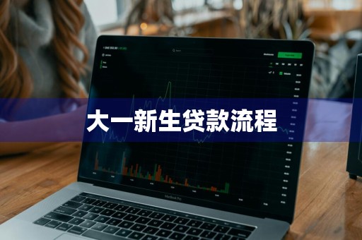 大一新生贷款流程