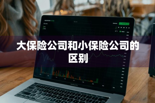 大保险公司和小保险公司的区别