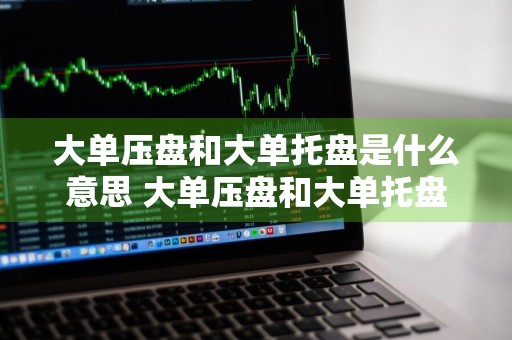 大单压盘和大单托盘是什么意思 大单压盘和大单托盘是什么意思啊