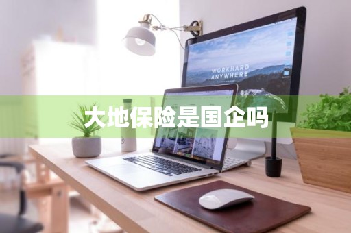 大地保险是国企吗