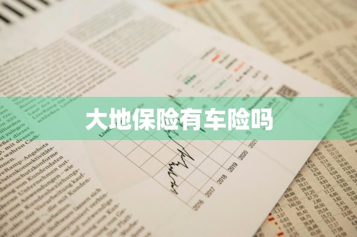 大地保险有车险吗