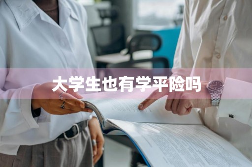 大学生也有学平险吗