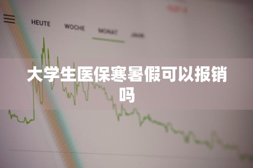 大学生医保寒暑假可以报销吗