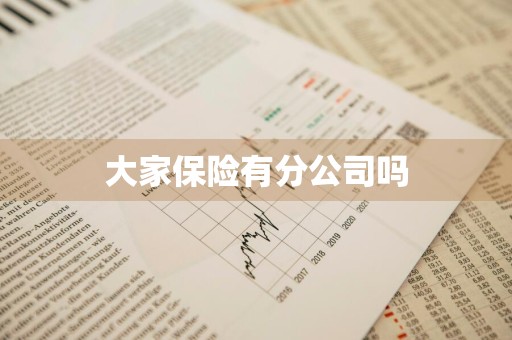 大家保险有分公司吗