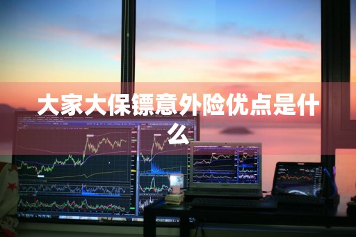 大家大保镖意外险优点是什么