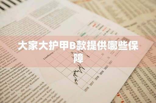 大家大护甲B款提供哪些保障