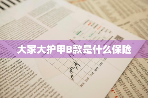 大家大护甲B款是什么保险