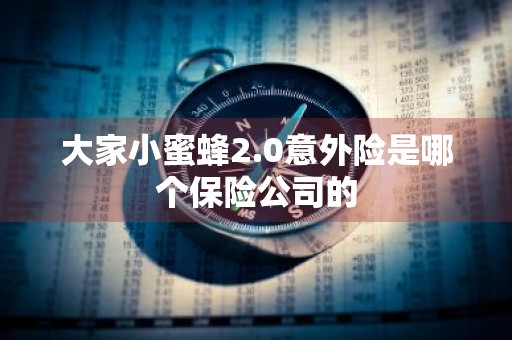 大家小蜜蜂2.0意外险是哪个保险公司的