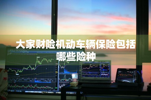 大家财险机动车辆保险包括哪些险种