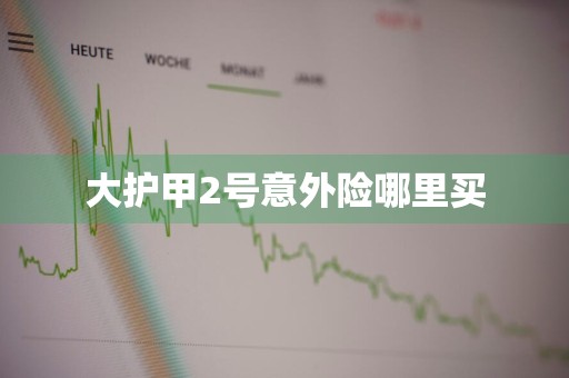大护甲2号意外险哪里买