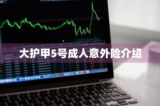 大护甲5号成人意外险介绍