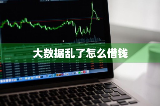 大数据乱了怎么借钱