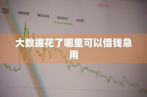 大数据花了哪里可以借钱急用