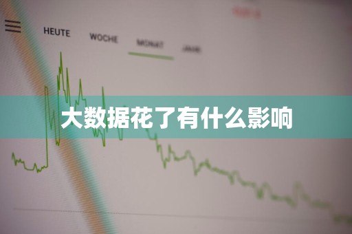 大数据花了有什么影响