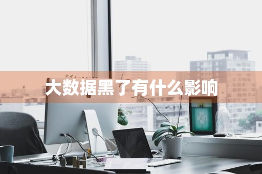 大数据黑了有什么影响