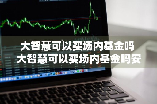 大智慧可以买场内基金吗 大智慧可以买场内基金吗安全吗