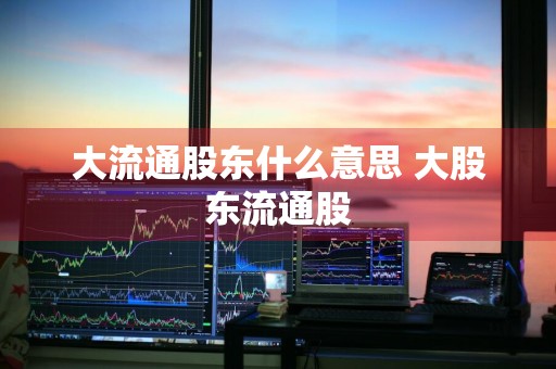 大流通股东什么意思 大股东流通股