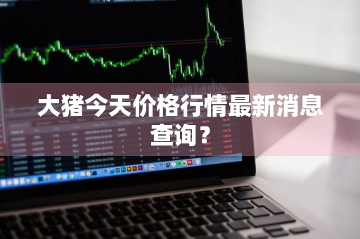大猪今天价格行情最新消息查询？