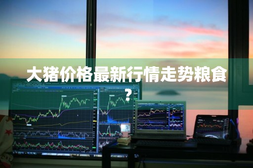 大猪价格最新行情走势粮食？
