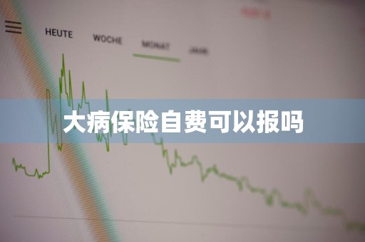 大病保险自费可以报吗