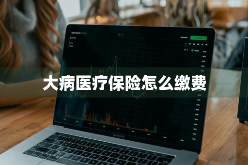 大病医疗保险怎么缴费
