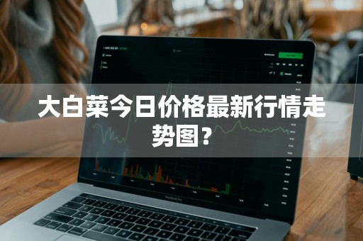 大白菜今日价格最新行情走势图？