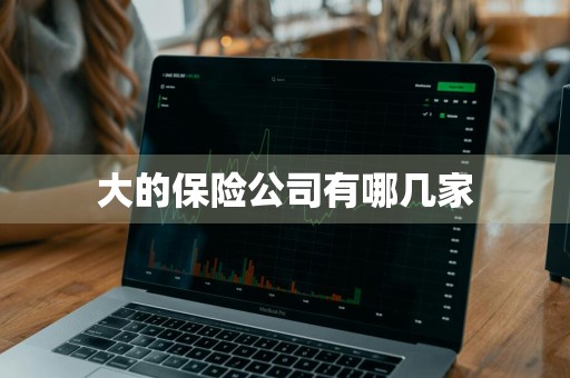 大的保险公司有哪几家