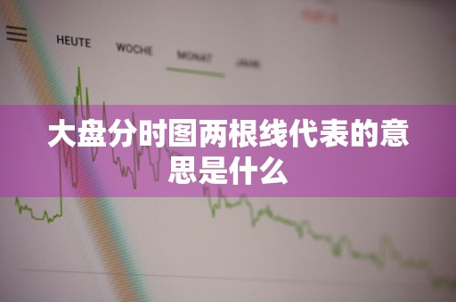大盘分时图两根线代表的意思是什么
