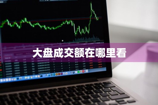 大盘成交额在哪里看
