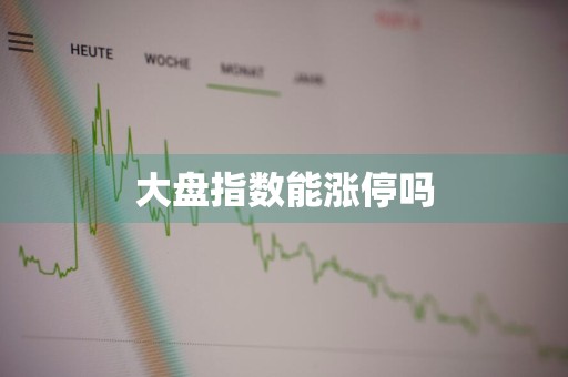 大盘指数能涨停吗