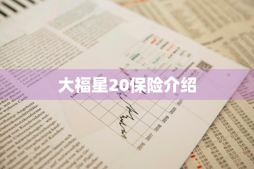 大福星20保险介绍