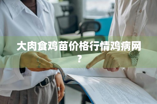 大肉食鸡苗价格行情鸡病网？