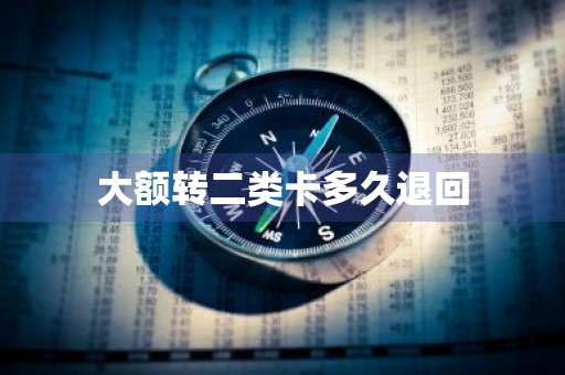 大额转二类卡多久退回