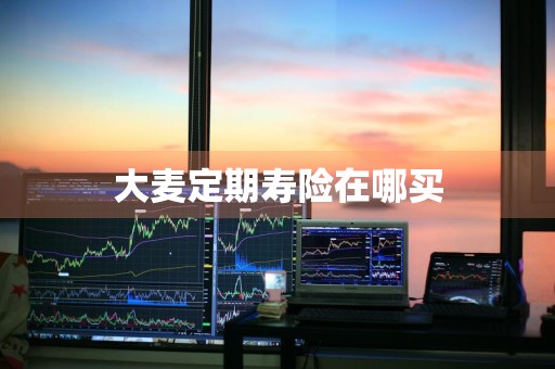大麦定期寿险在哪买