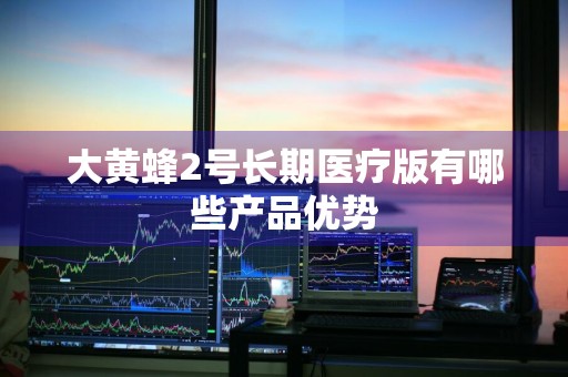 大黄蜂2号长期医疗版有哪些产品优势