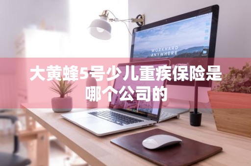 大黄蜂5号少儿重疾保险是哪个公司的