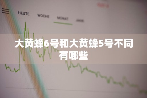 大黄蜂6号和大黄蜂5号不同有哪些