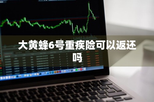 大黄蜂6号重疾险可以返还吗