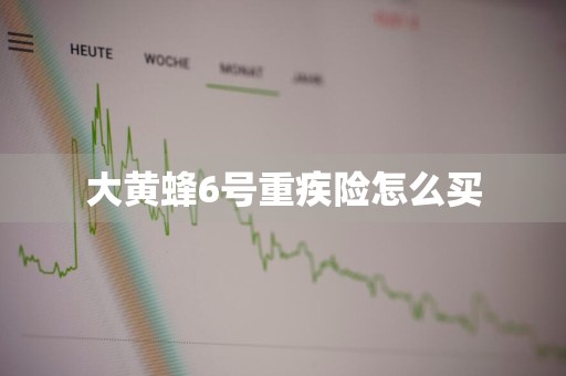 大黄蜂6号重疾险怎么买