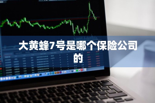 大黄蜂7号是哪个保险公司的