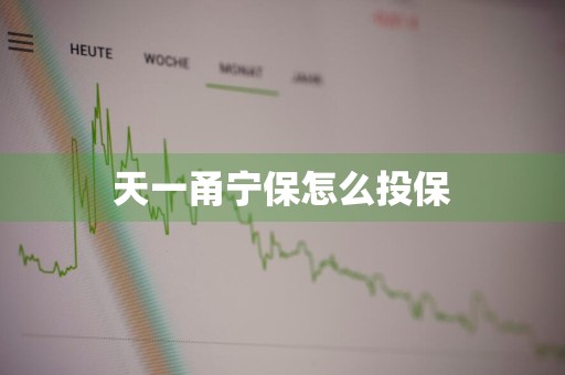天一甬宁保怎么投保