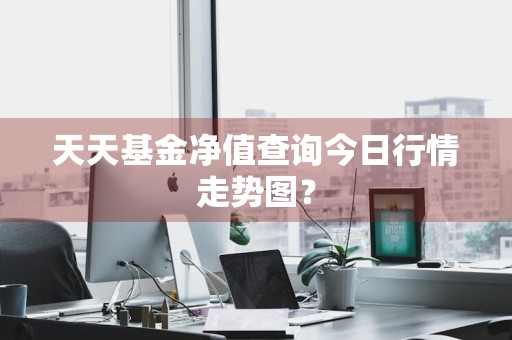 天天基金净值查询今日行情走势图？