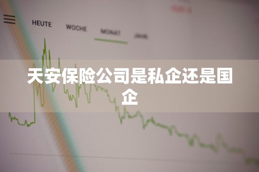 天安保险公司是私企还是国企