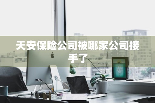天安保险公司被哪家公司接手了