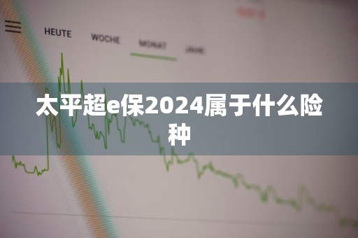 太平超e保2024属于什么险种