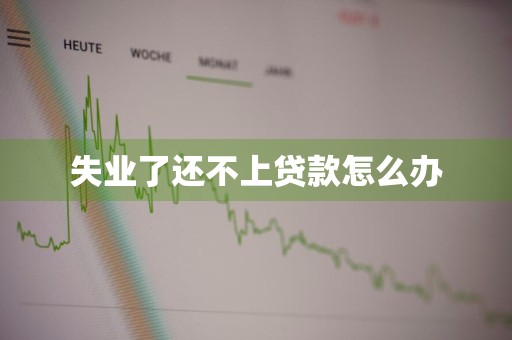 失业了还不上贷款怎么办