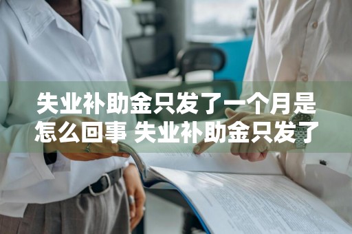 失业补助金只发了一个月是怎么回事 失业补助金只发了一个月是怎么回事啊