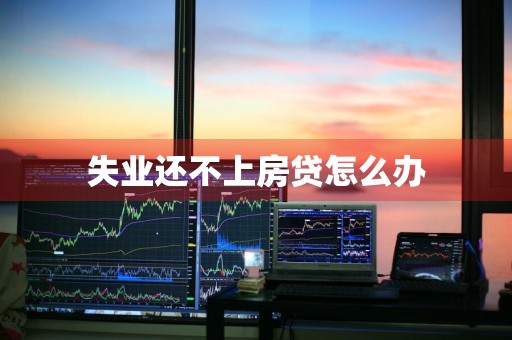失业还不上房贷怎么办